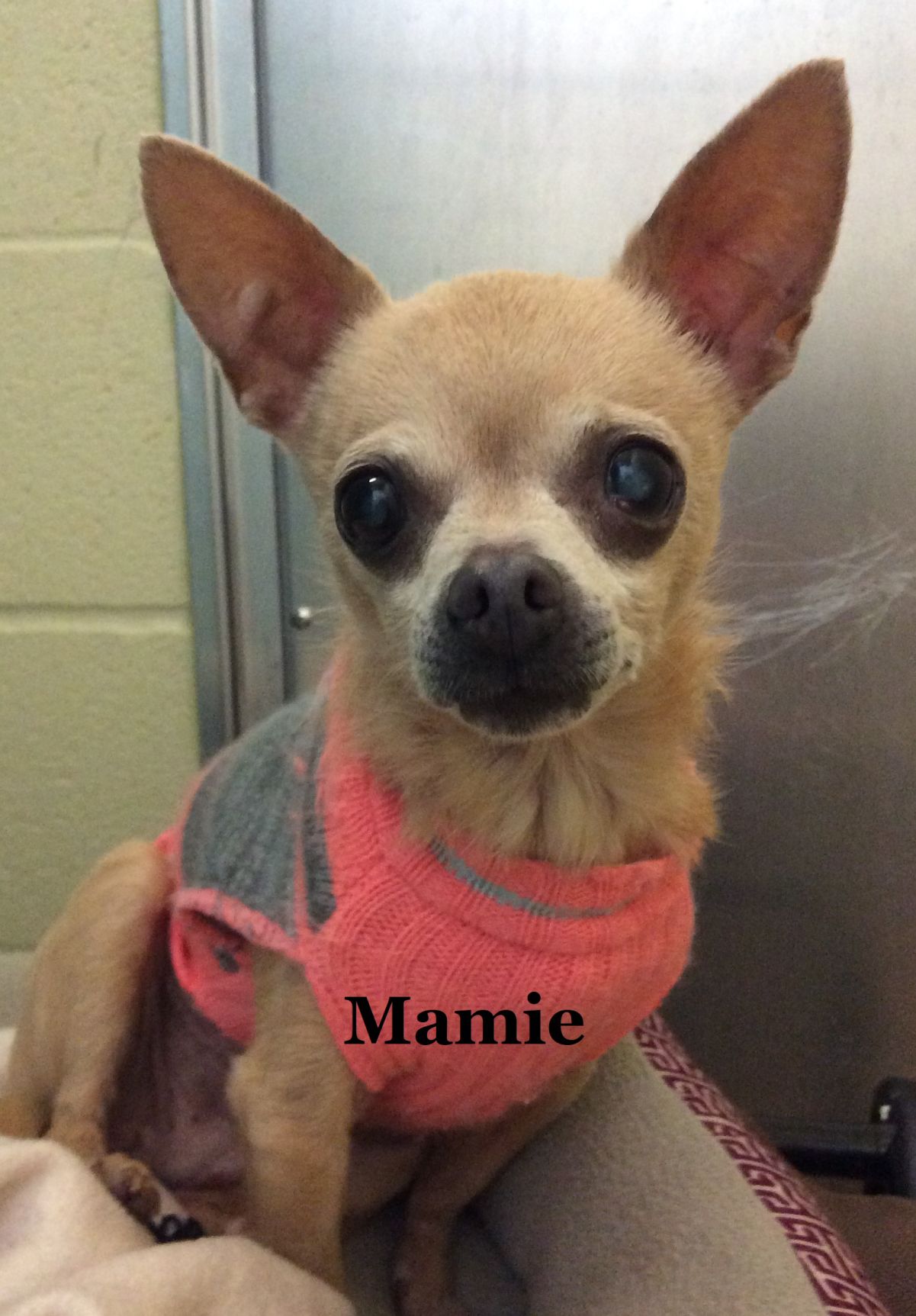 Mamie